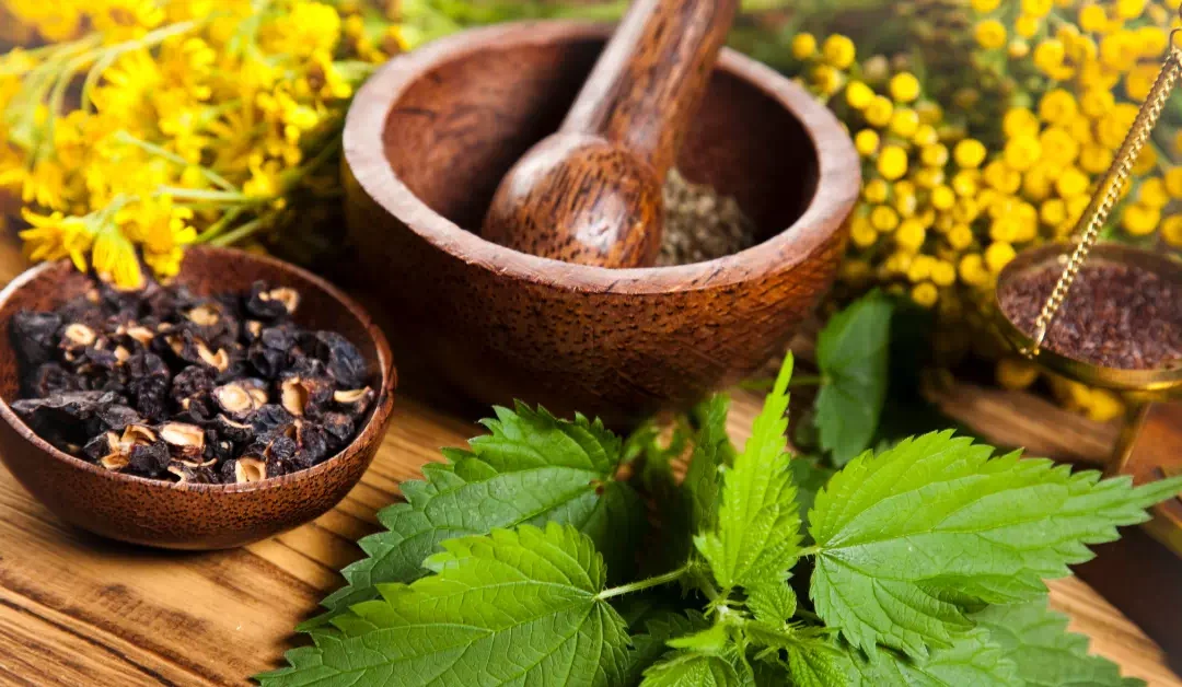 Natural Remedies for Boosting Your Immune System