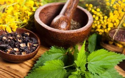 Natural Remedies for Boosting Your Immune System